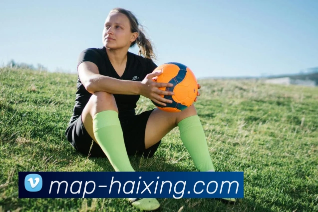 海星体育直播平台生态图